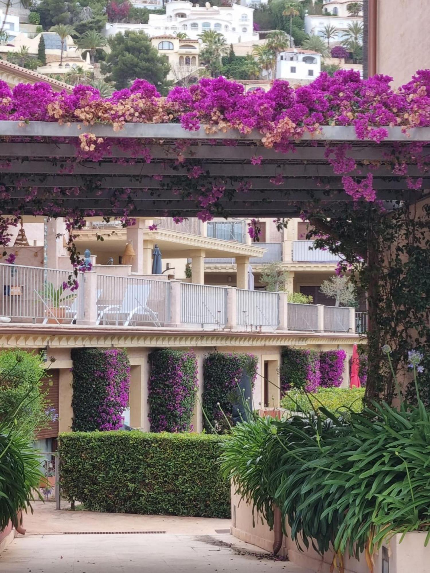 Casa Violette Apartment Морайра Екстериор снимка